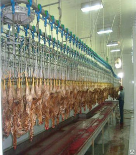 Убойный цех, производительность 1000 птиц в час.