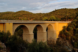 Русский гид-организатор 10