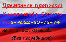 Пропишу в Калининграде и области. Без посредников!