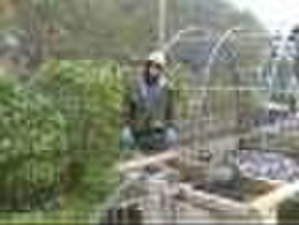 чистка колодцев 4