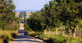 Земельный участок рядом с Южной игорной зоной на Черном море! 6