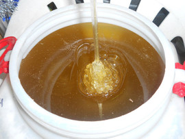 Натуральный мед оптом от производителя