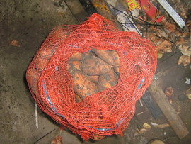 Морковь тупоносая оптом 4