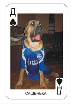 Хусти,Лазович,Розина,Бородин-покидают наши карты 5