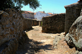 Русский гид-организатор 8