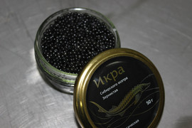 Икра черная осетровая оптом 3