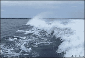 Автоматизированная программа + Круиз с клубными бонусами Palmary 4