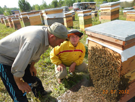Натуральный мед оптом от производителя 2