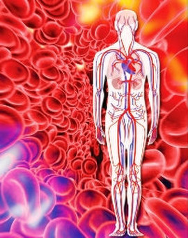 LCBalance-HOLESTERIN-POD-KONTROLEM-3