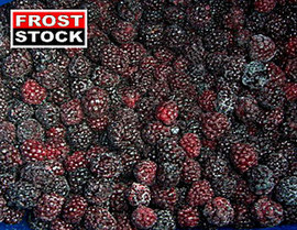 Клубника и Ежевика 2