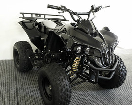 ATV "Warrior" 125см3 (008) 2