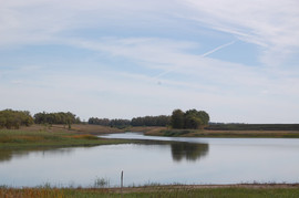 Продается пруд 3