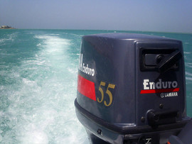 Мотор лодочный Yamaha 55 новый продам 2