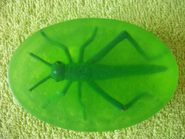 РЕПТИЛИИ и НАСЕКОМЫЕ в мыле 3