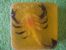 РЕПТИЛИИ и НАСЕКОМЫЕ в мыле 5