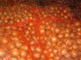 Продам оптом овощи и фрукты! 2