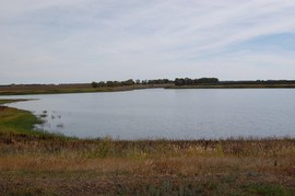 Продается пруд 2