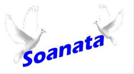 Работа с письмами (Для жителей России).