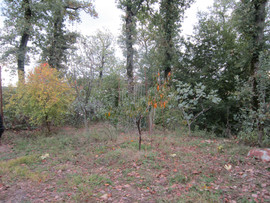 сочи продажа дома в центральном районе 3