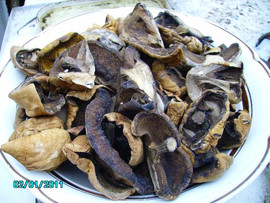 Griby-sushenye-Podosinoviki-2