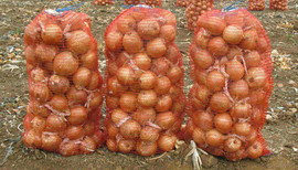 Лук крупным оптом от производителя с доставкой