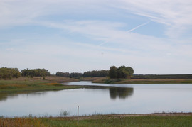 Продается пруд 3