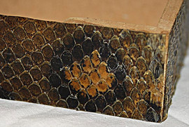 Шкатулка из кожи анаконды (Перу) 3