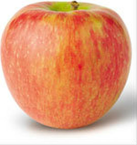 Яблоки оптом от производителя 4