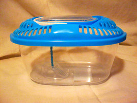 Террариум переноска. Новая.