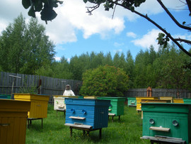 МЕД. Нытвенский Мед. 2