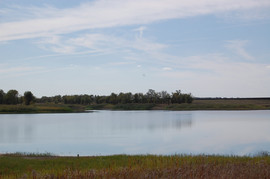 Продается пруд 4