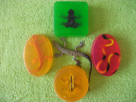 РЕПТИЛИИ и НАСЕКОМЫЕ в мыле 2