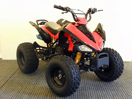 квадроцикл ATV CARBON 125