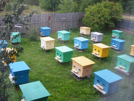 МЕД! Нытвенский Мед. 2